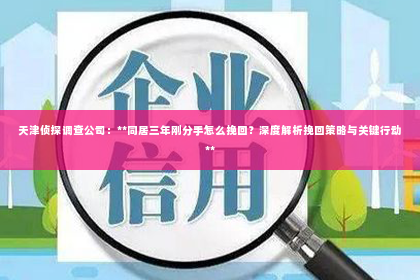 天津侦探调查公司：**同居三年刚分手怎么挽回？深度解析挽回策略与关键行动**