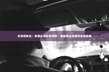 天津侦探社：安徽正规私家侦探：揭秘专业调查背后的故事