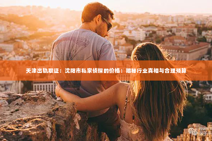 天津出轨取证：沈阳市私家侦探的价格：揭秘行业真相与合理预算