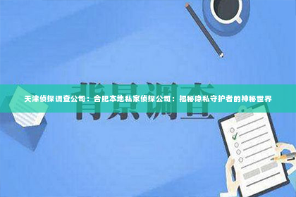天津侦探调查公司：合肥本地私家侦探公司：揭秘隐私守护者的神秘世界
