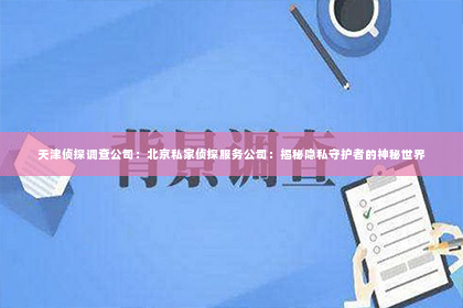 天津侦探调查公司：北京私家侦探服务公司：揭秘隐私守护者的神秘世界