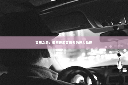 背叛之路：调查还原背叛者的行为轨迹