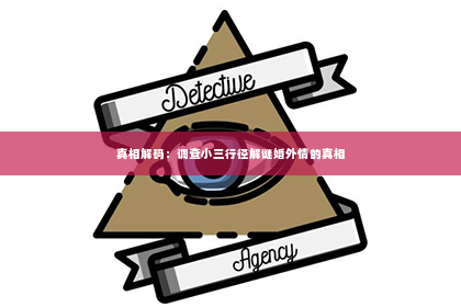 真相解码：调查小三行径解谜婚外情的真相