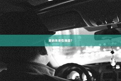 爱的未来在挽回？