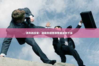 消失的珍宝：追踪失窃博物馆藏品的下落