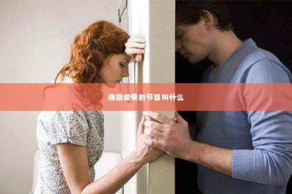 挽回爱情的节目叫什么