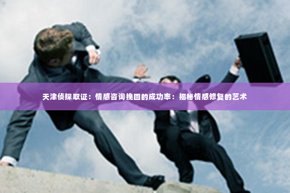 天津侦探取证：情感咨询挽回的成功率：揭秘情感修复的艺术