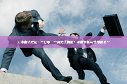天津出轨取证：**分手一个月无法挽回：深度解析与情感反思**