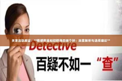 天津出轨取证：**情感教练和切糕挽回哪个好：深度解析与选择建议**